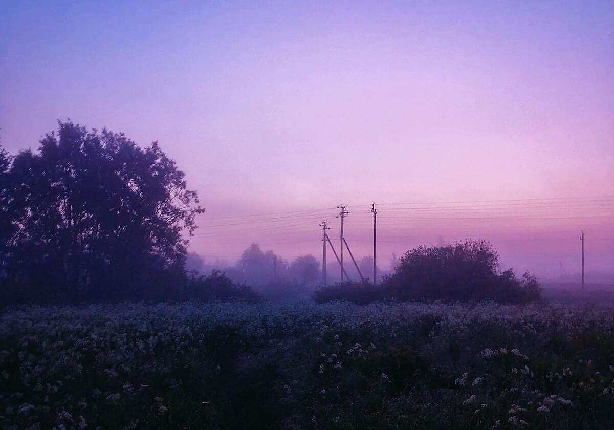 华体会体育体验-原山东男篮队长侯冰将出任山东高速女篮主教练